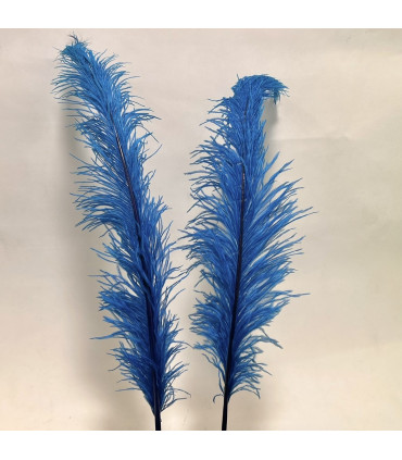 Strutsefjær 55cm-65cm
