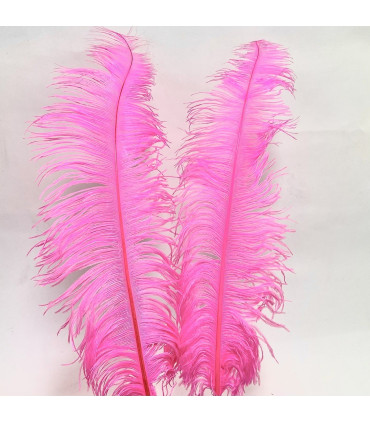 Strutsefjær 55cm-65cm
