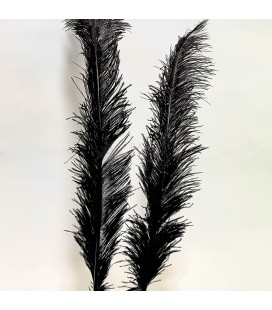 Ostrich Feather 55cm-65cm