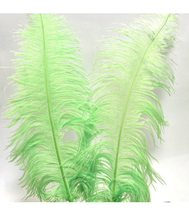 Strutsefjær 55cm-65cm