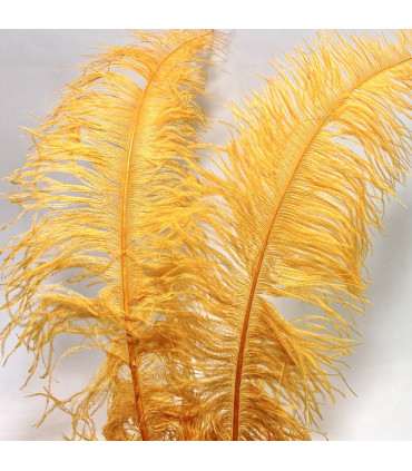 Strutsefjær 55cm-65cm