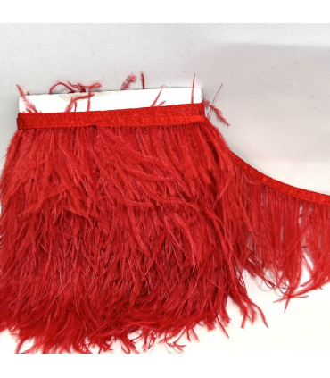 Ostrich Feather 55cm-65cm