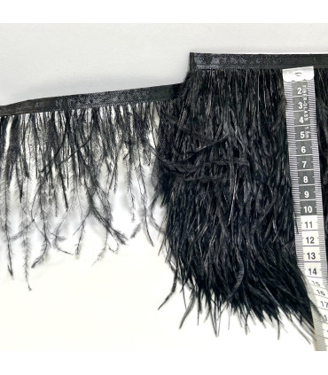 Ostrich Feather 55cm-65cm